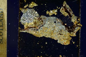 Cross Polarized, S31833