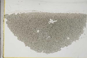 Plane Polarized, S31835