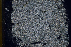 Cross Polarized, S31836