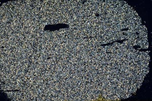 Cross Polarized, S31837