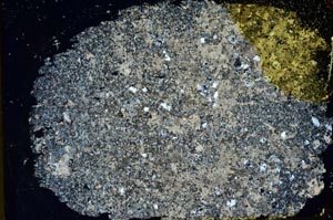 Cross Polarized, S31838