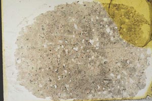 Plane Polarized, S31838