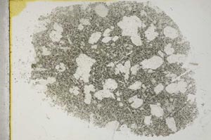 Plane Polarized, S31839