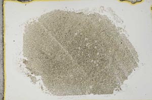 Plane Polarized, S31840