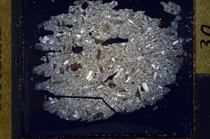 Cross Polarized, S31841