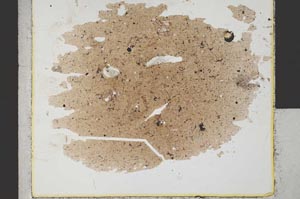 Plane Polarized, S31841