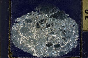 Cross Polarized, S31842