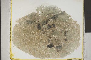 Plane Polarized, S31842