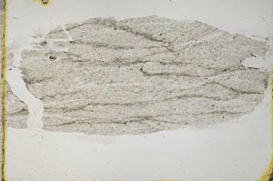 Plane Polarized, S31844