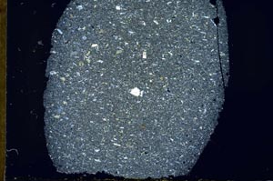 Cross Polarized, S31869