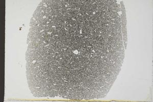 Plane Polarized, S31869