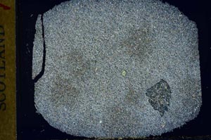 Cross Polarized, S31870