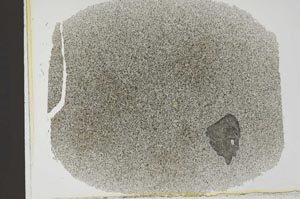 Plane Polarized, S31870