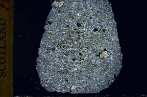 Cross Polarized, S31871