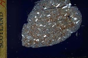 Cross Polarized, S31875