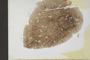 Plane Polarized, S31875