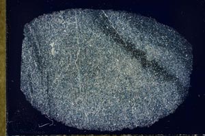 Cross Polarized, S31876