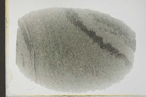 Plane Polarized, S31876