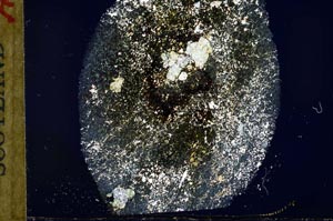 Cross Polarized, S31880