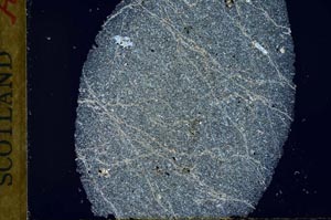 Cross Polarized, S31881