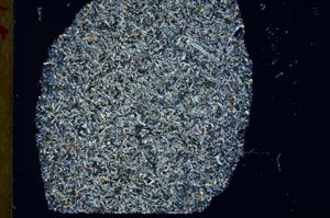 Cross Polarized, S31890