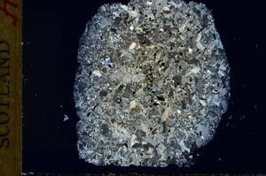 Cross Polarized, S31894