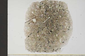 Plane Polarized, S31894