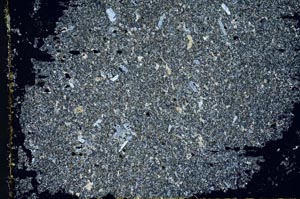 Cross Polarized, S31902