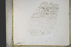 Plane Polarized, S31913