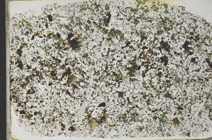 Plane Polarized, S31919