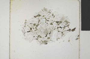 Plane Polarized, S31924