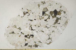 Plane Polarized, S31925