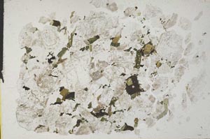 Plane Polarized, S31927