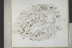 Plane Polarized, S31933