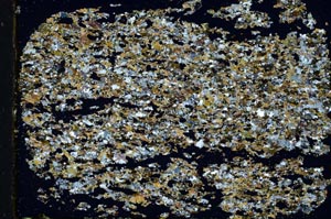 Cross Polarized, S31941