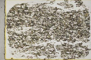 Plane Polarized, S31941