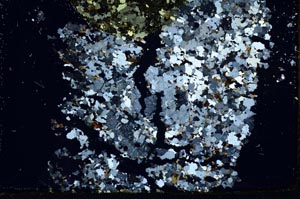 Cross Polarized, S31942