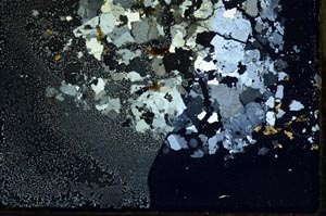 Cross Polarized, S31946