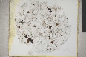 Plane Polarized, S31948