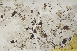 Plane Polarized, S31949
