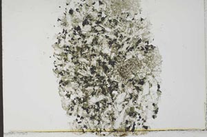 Plane Polarized, S31980