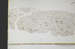 Plane Polarized, S31992