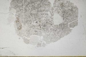 Plane Polarized, S32021