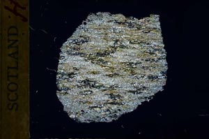 Cross Polarized, S32025