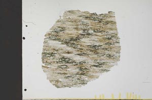 Plane Polarized, S32025