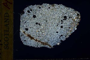 Cross Polarized, S32035