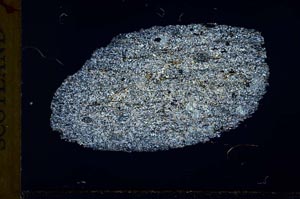 Cross Polarized, S32037