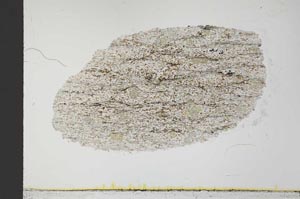 Plane Polarized, S32037