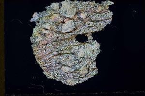 Cross Polarized, S32038