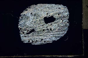 Cross Polarized, S32039